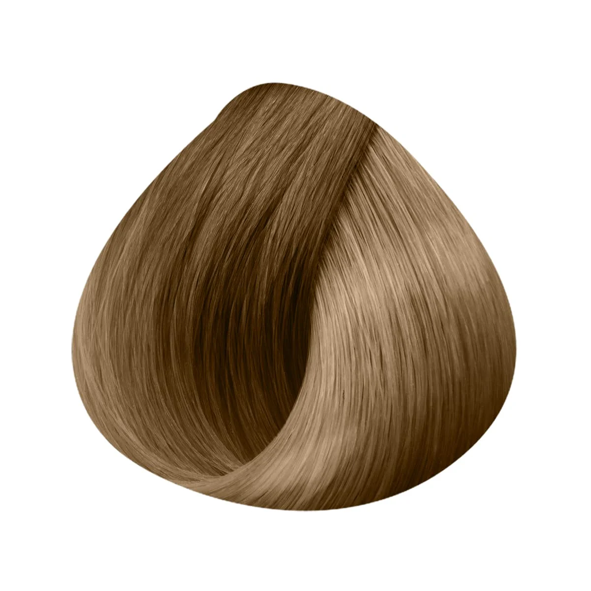 Extensions Anneaux 10 Mèches 50/55cm - Image 32