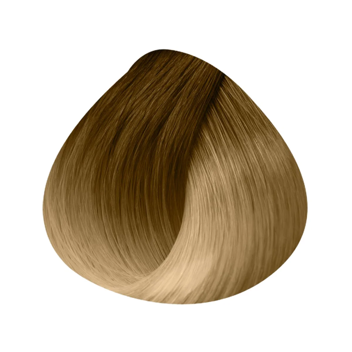 Extensions Anneaux Ombrées 10 Mèches 50/55cm - Image 3