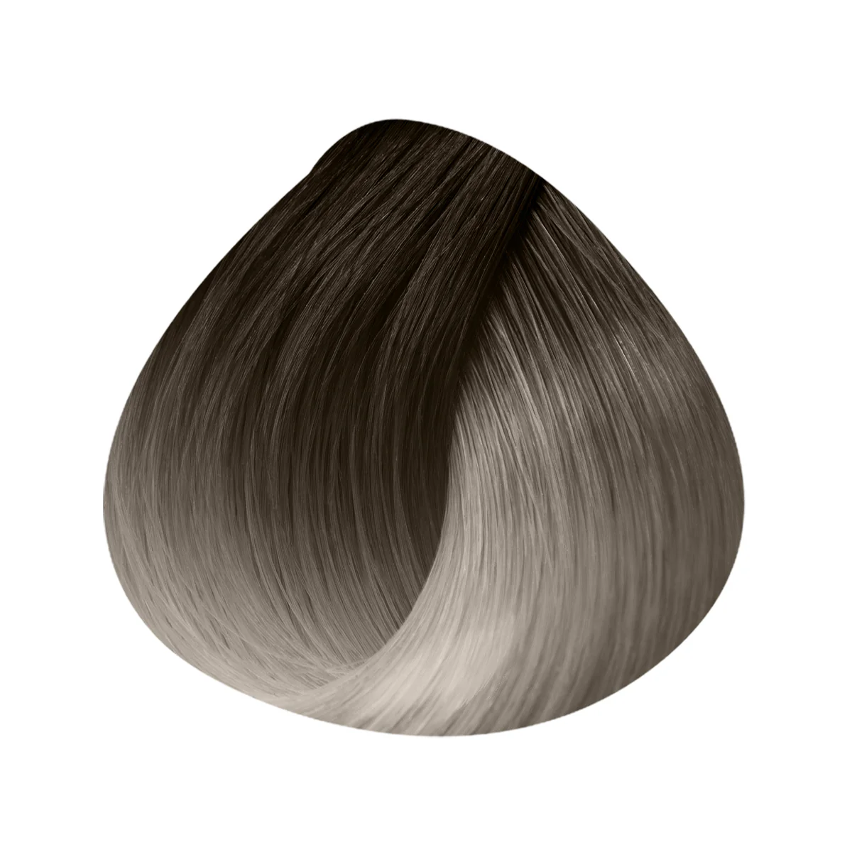Extensions Anneaux Ombrées 10 Mèches 50/55cm - Image 4