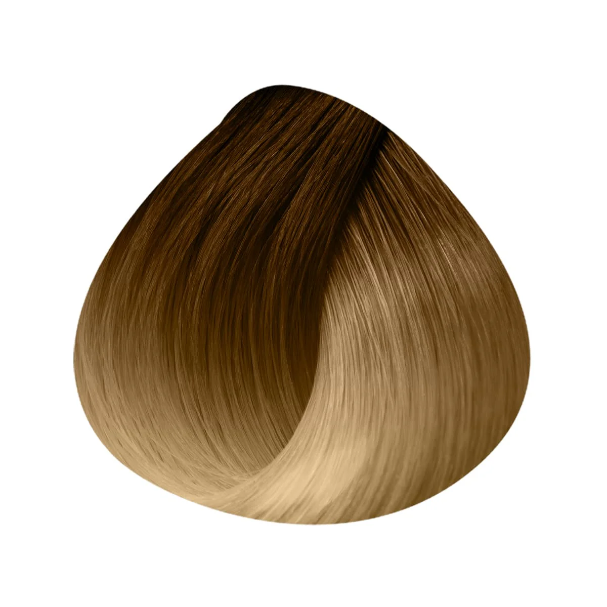 Extensions Anneaux Ombrées 10 Mèches 50/55cm - Image 5